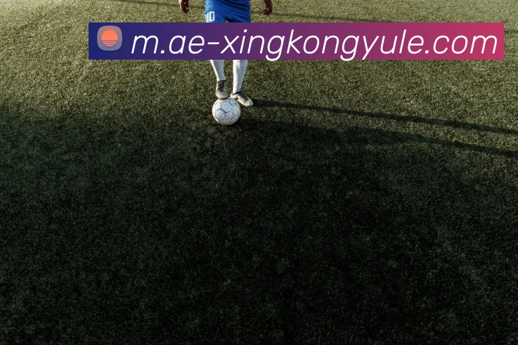 星空娱乐服务体系