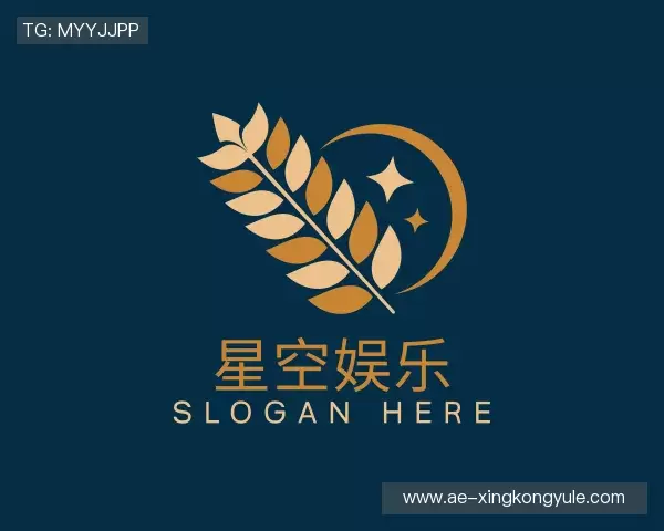 了解星空娱乐中国